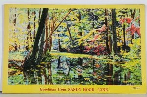 Sandy Hook Connecticut Greetings Scenic View Postcard J15