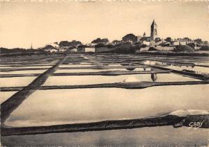 BR12176 Ile de Noirmoutier Les marais salants  france