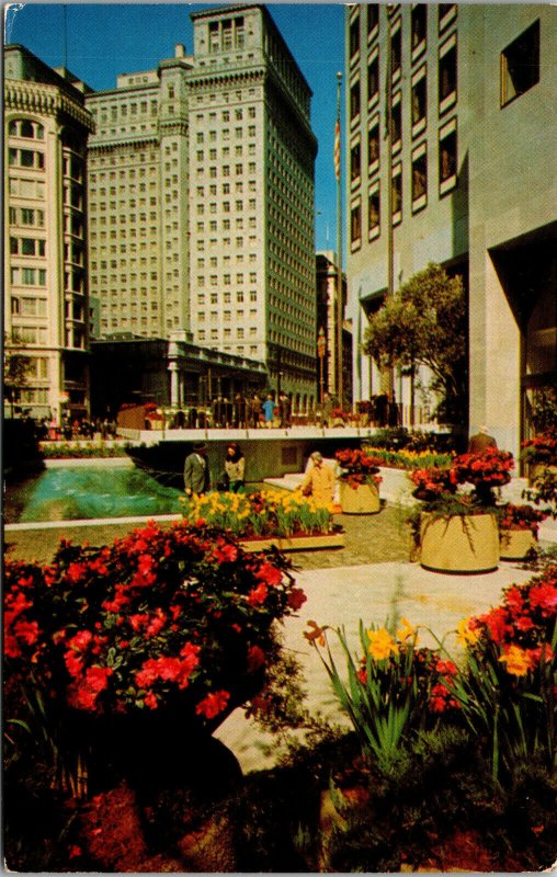 Vtg 1950s Standard Oil Company Plaza Garden San Francisco California CA Postcard