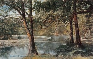 LLANGOLLEN DENBIGHSHIRE WALES BERWYN HORSESHOE FALLS POSTCARD