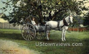Old One Horse Shay - Misc, New Hampshire NH Postcard