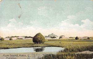 Plum Island Massachusetts scenic birds eye view marshes antique pc Z21377