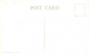 Front Street Hamilton Bermuda Postcard