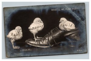 Vintage 1906 RPPC Easter Postcard Cute Chicks Stand on an Old Shoe