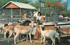 TUCSON, Arizona AZ   DEER RANCH Park & Zoo  ROADSIDE  ca1950's Chrome Postcard