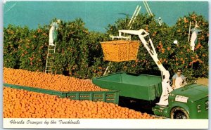 Postcard - Florida Oranges by the Truckloads - Florida