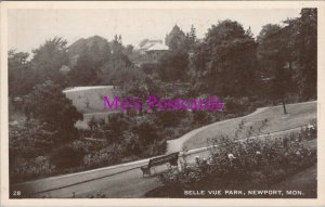 Wales Postcard - Newport, Monmouthshire, Belle Vue Park  RS38697