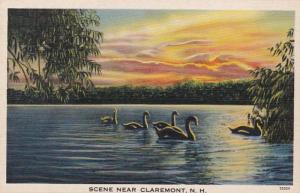 New Hampshire Lake Scene Near Claremont With Swans