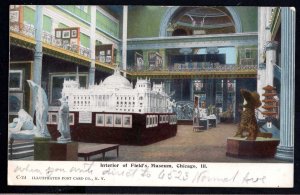 Illinois CHICAGO Interior of Field's Museum Pub Illustrated Post card Co. - DB