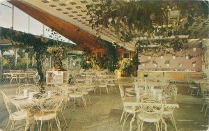 Clearwater Florida Kapok Tree Inn  Interior View 1958 Postcard Used