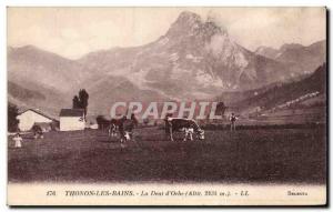 Old Postcard Thonon les Bains tooth & # 39oche Cow