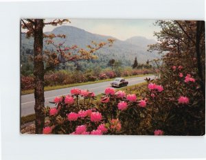 Postcard Grandfather Mountain, Blue Ridge Parkway, North Carolina