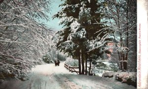 Vintage Postcard Bloomingdale Road In Winter Adirondack Mountains New York NY
