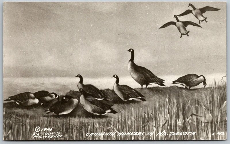 Vtg North Dakota ND Canadian Honkers Geese RPPC 1940s Cook Postcard