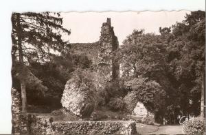 Postal 028963 : Domfront (Orne) - Le Chäteau (XI s.), Ruines de lancien Donjon..