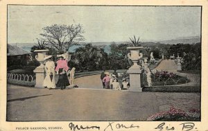 Palace Gardens, Sydney, Australia Antique 1906 Vintage Postcard