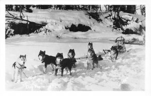 J68/ Alaska RPPC Postcard c1940s Sled Dog Team Musher Sled  7