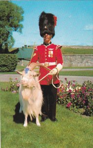 Corporal With Mascot Baptiste 22e Regiment La Citadelle Quebec Canada