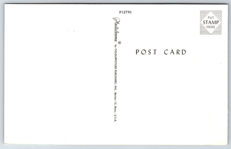 Delaware State Highway Map~Brandywine~Elsmere~Frankford~Laurel~1950s Postcard