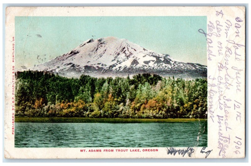 1906 Scenic View Of Mt. Adams From Trout Lake Oregon OR Antique Postcard