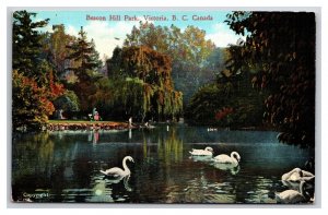 Swans In Beacon Hill Park Victoria British Columbia BC Canada DB Postcard P28