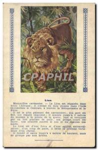 Old Postcard Leo Felin