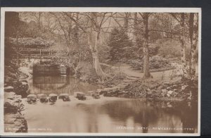 Northumberland Postcard - Jesmond Dene, Newcastle-On-Tyne  RS9266