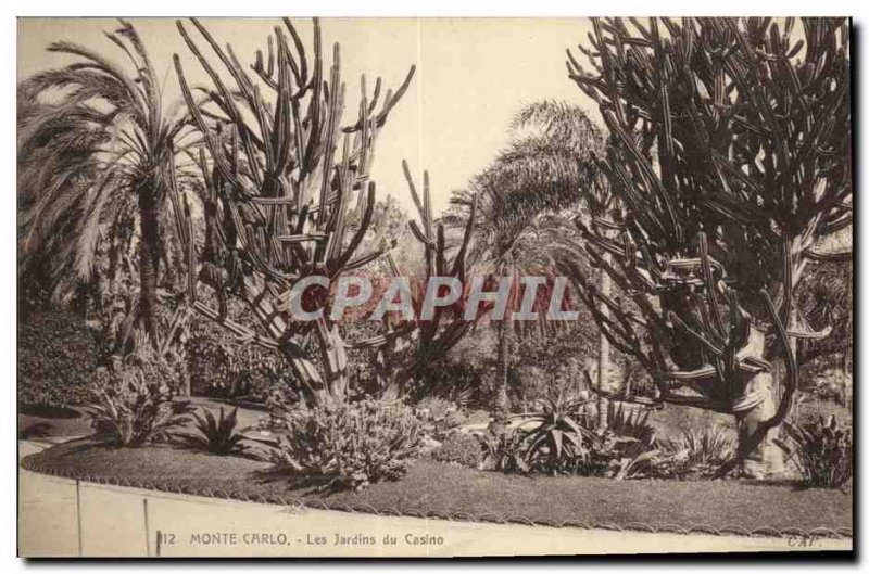 Old Postcard Monte Carlo Casino Gardens