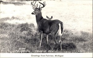 RPPC Fawn Peeking Over Back of Deer, Greetings from Fairview MI Postcard N54