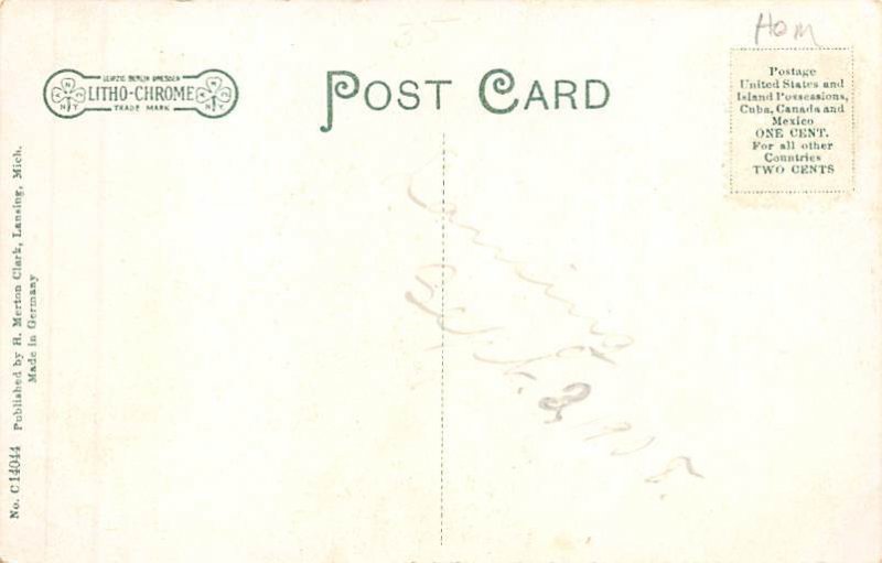 The High School Carnegic Library Lansing MI 