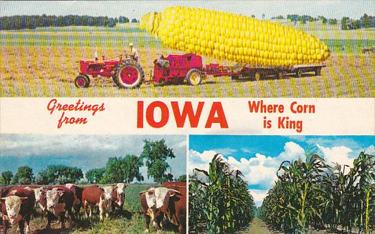 Exageration Large Corn Greetings From Iowa Where Corn Is King 1974