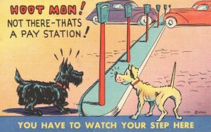 Vintage Postcard Dogs At The Station You Have To Watch Your Step Here Comic Card