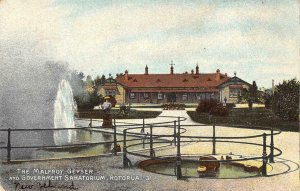 THE MALFROY GEYSER Government Sanatorium ROTORUA, NZ c1910s Vintage Postcard