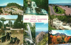 Greetings From Great Smoky Mountains National Park Attractions, Vintage Postcard