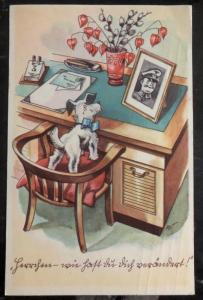 Mint Germany Original PPC Picture Postcard cheerful front of the home