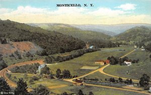 Monticello Monticello, New York NY  