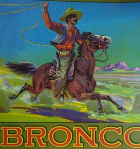 Bronco Western Cowboy Horse Lasso Fruit Crate Label Vintage Original 1930's