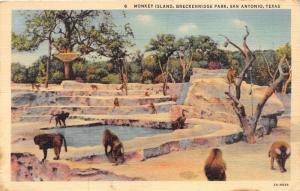 San Antonio Texas~Breckenridge Park~Monkey Island~Macaques~1942 Linen Postcard