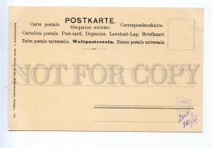 524418 MAY BEETLE Bugs Insect Vintage postcard Rommel #557