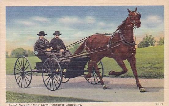 Pennsylvania Lancaster County Amish Boys Out For A Drive