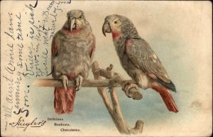 Schuyler's Chocolates Parrots on Post Ad Advertising c1910 Vintage Postcard