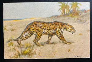 Mint Switzerland Color Picture Postcard PPC Leopard Hunting