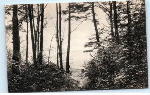 *Walk from the Ice Glen Stockbridge Massachusetts Mass Vintage Postcard C44