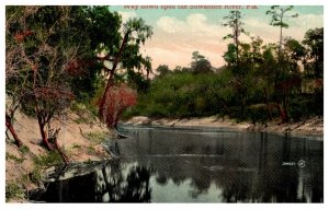 Florida Suwannee River