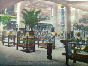 Vintage Postcard 1910's Chamber Hall Los Angeles Chamber of Commerce CA Benham