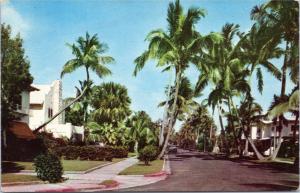 View of Residential Street in Palm Beach Florida - Curt Teich postcard