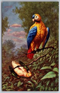 A/S~Two Macaw Parrots On Branch~One Hanging Upside-Down~P&CM Ser 121~c1910