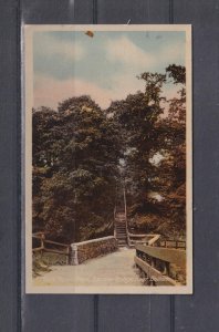GREAT BRITAIN, BOLTON, LANCASHIRE, 63 STEPS, BARROW BRIDGE, c1920 ppc., unused.