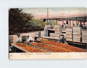 Postcard Packing Oranges, Southern California