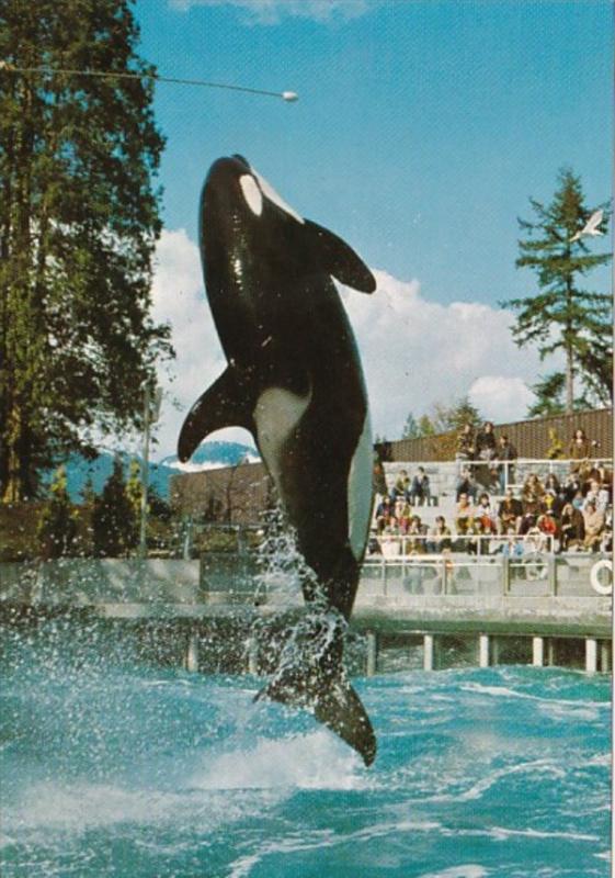 Canada British Columbia Vancouver Aquarium Skana The Killer Whale